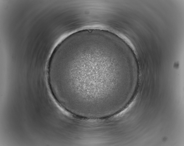 X0000100950989200807081214