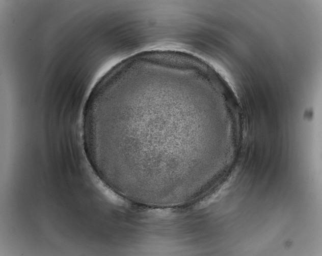 X0000100950990200807081214