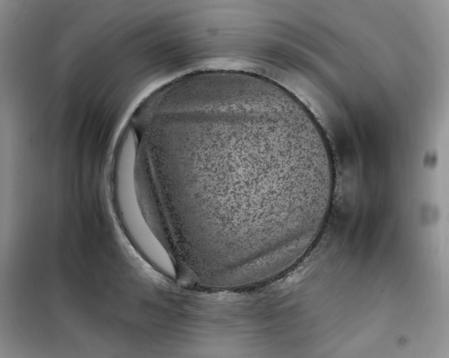 X0000100950992200807081214