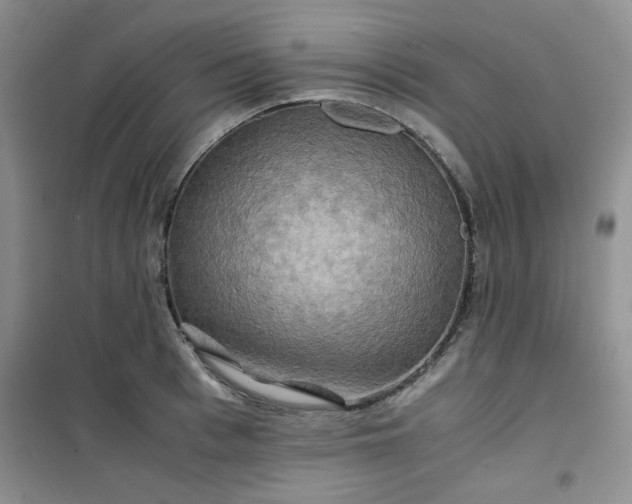 X0000100950993200807081214