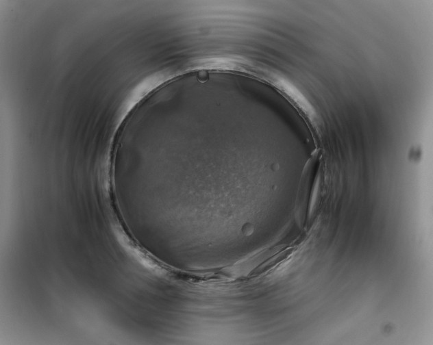 X0000100950994200807081214