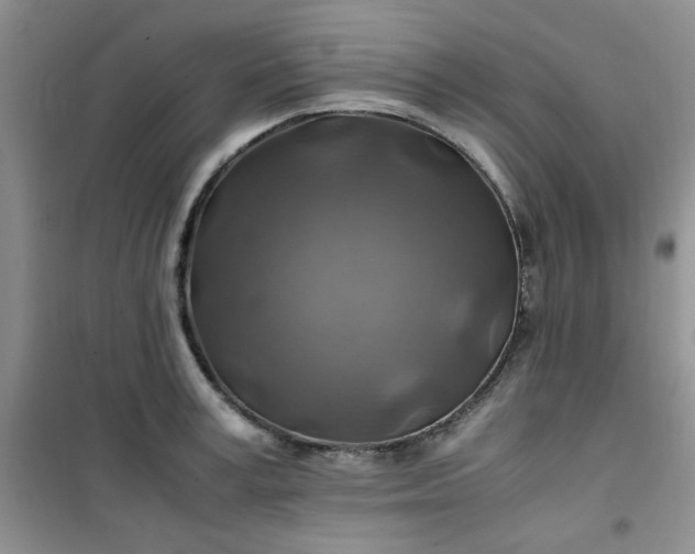 X0000100950995200807081214