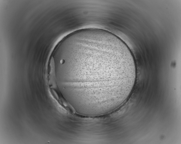 X0000100950996200807081214