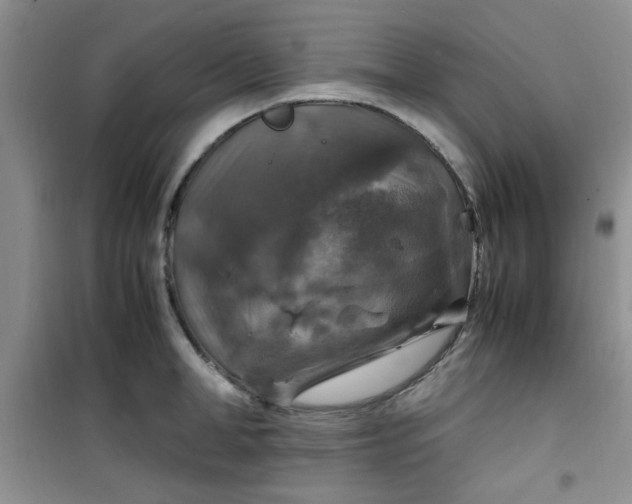 X0000100950998200807081214