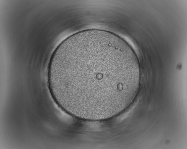 X0000100950999200807081214