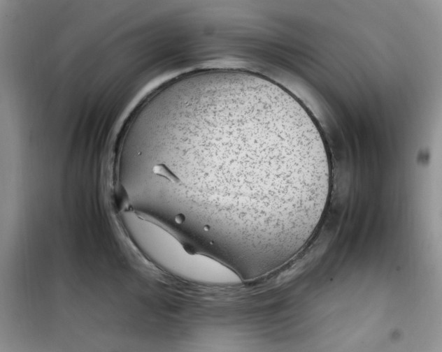 X0000100951000200807081214