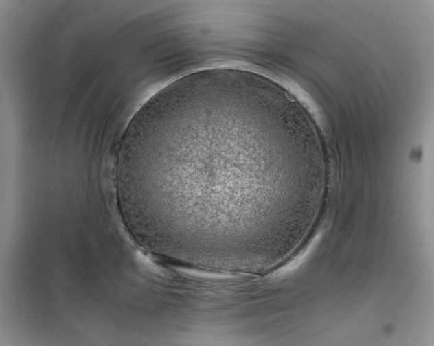 X0000100951001200807081214