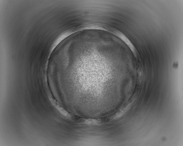 X0000100951002200807081214