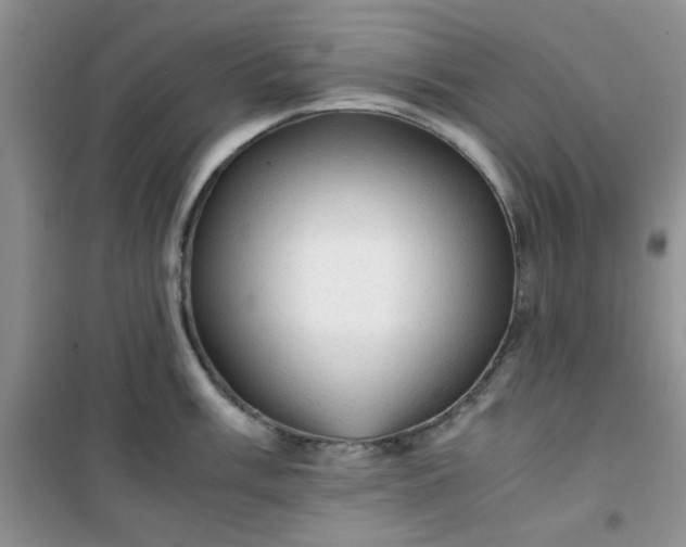 X0000100951003200807081214