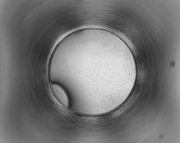 X0000100951004200807081214