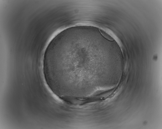 X0000100951005200807081214