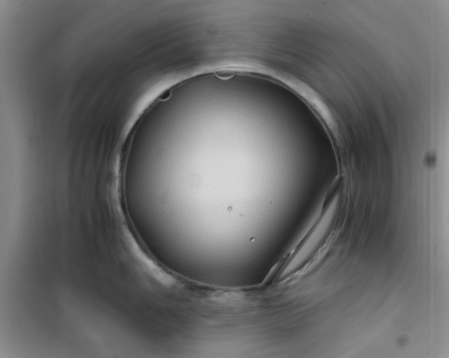 X0000100951006200807081214