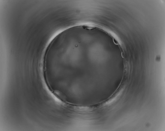 X0000100951007200807081214