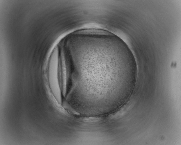 X0000100951008200807081214