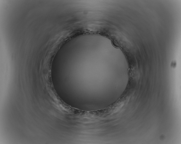 X0000100951009200807081213