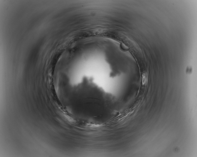 X0000100951011200807081213