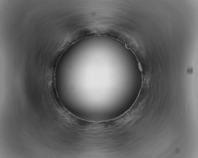 X0000100951012200807081213