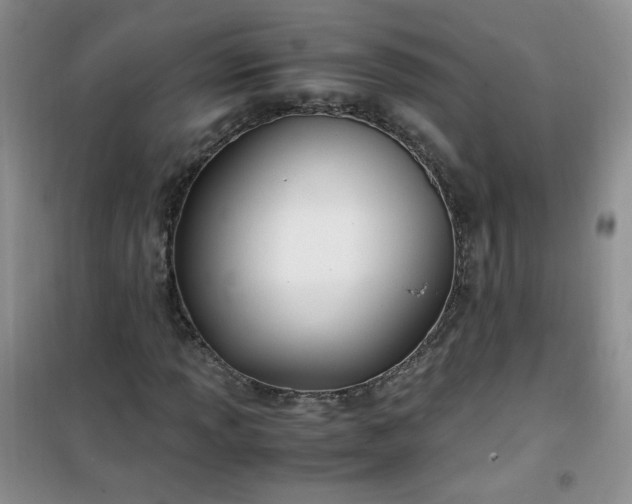 X0000100951013200807081213