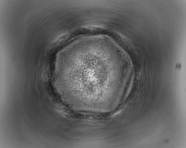 X0000100951014200807081213