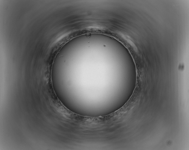 X0000100951015200807081213