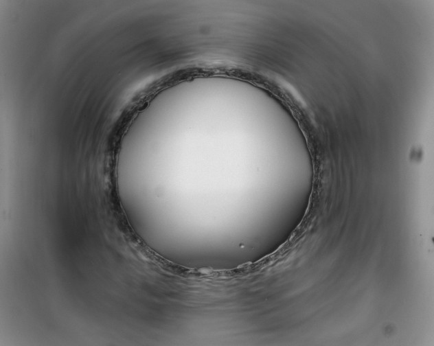 X0000100951016200807081213