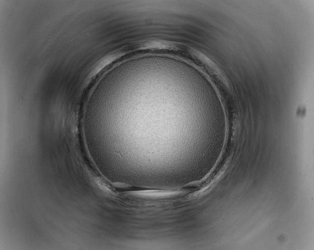 X0000100951017200807081213