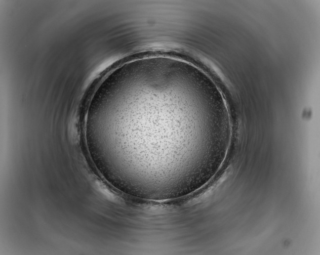 X0000100951018200807081213