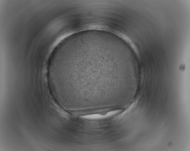 X0000100951019200807081213