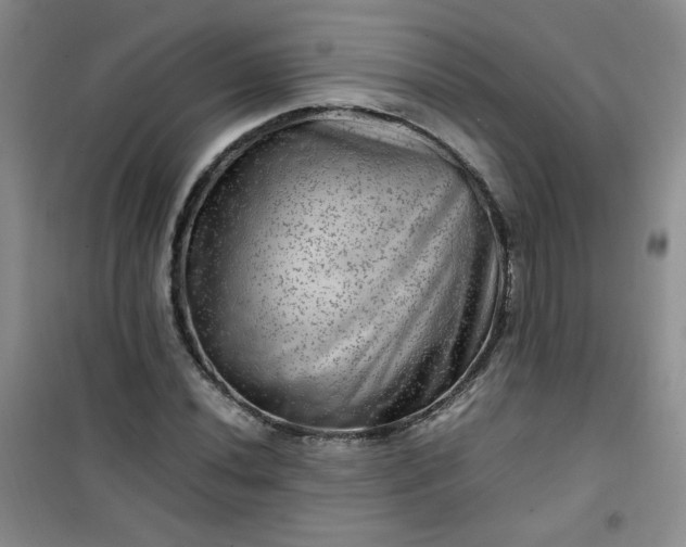 X0000100951020200807081213