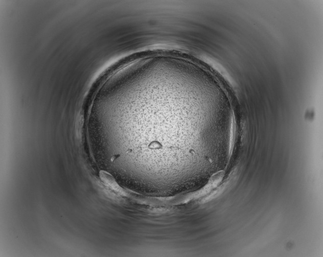 X0000100951021200807081213