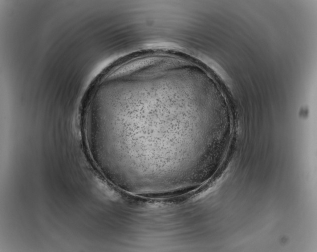 X0000100951022200807081213