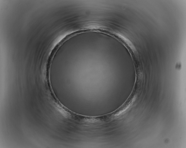 X0000100951023200807081213