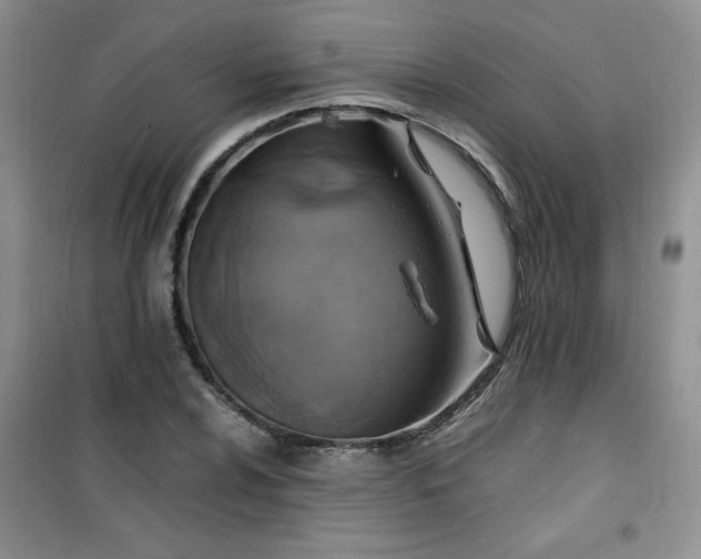 X0000100951024200807081213