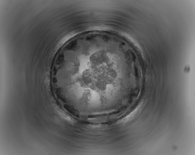 X0000100951025200807081213