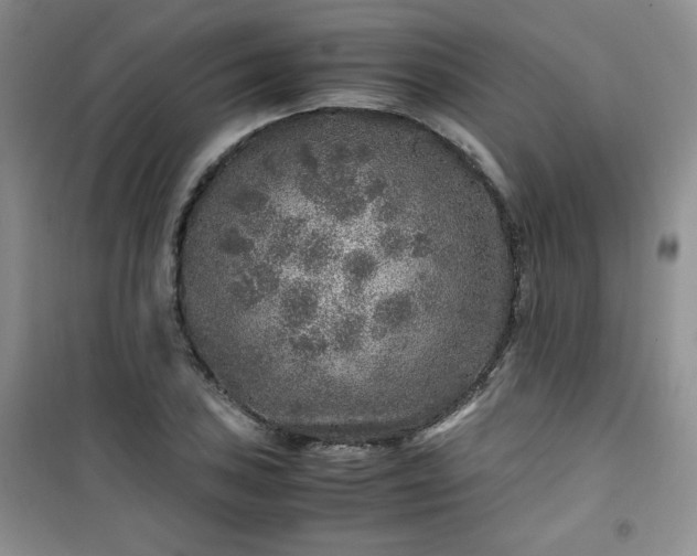 X0000100951027200807081213