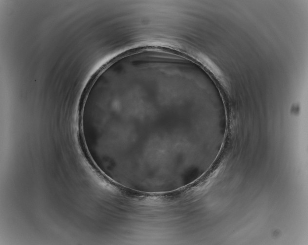 X0000100951028200807081213