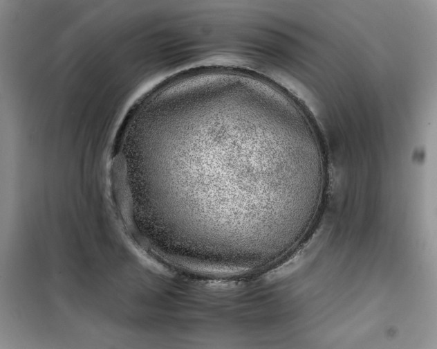 X0000100951029200807081213