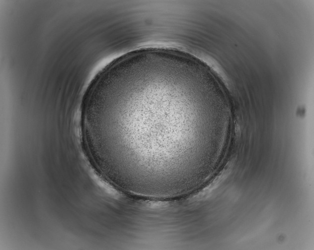 X0000100951030200807081213