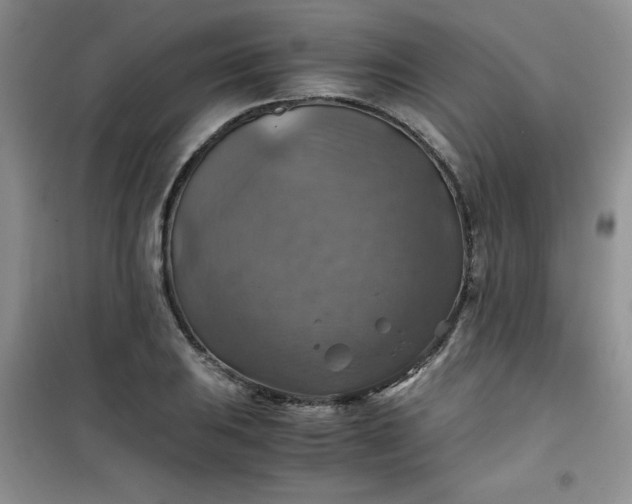 X0000100951031200807081213