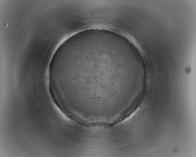 X0000100951032200807081213