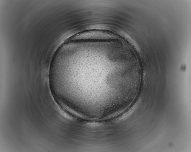 X0000100951033200807081213