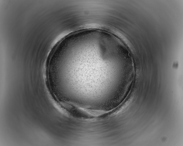 X0000100951034200807081213