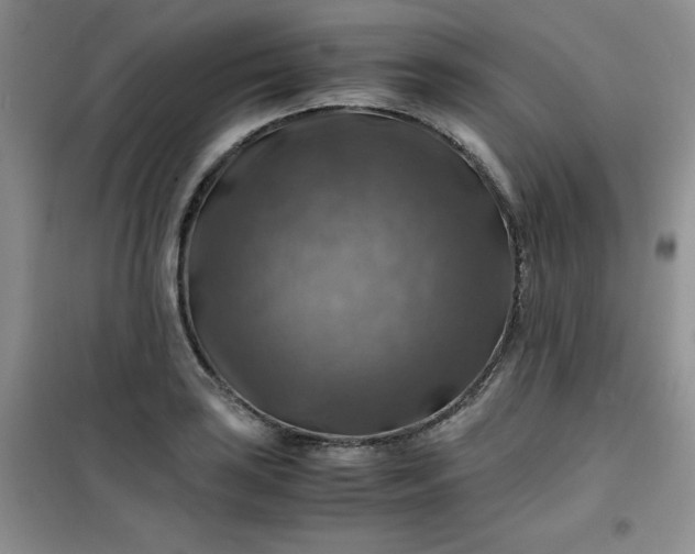 X0000100951035200807081213