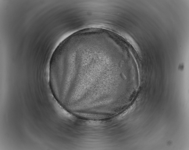 X0000100951036200807081213