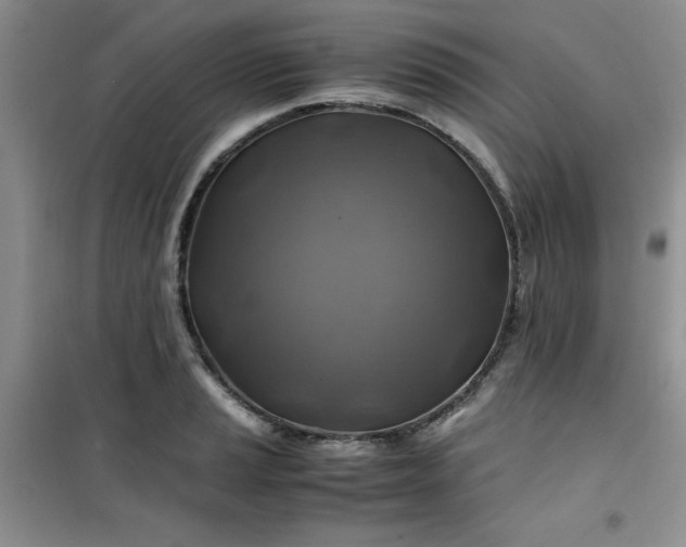 X0000100951037200807081213