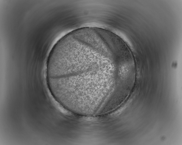 X0000100951040200807081214