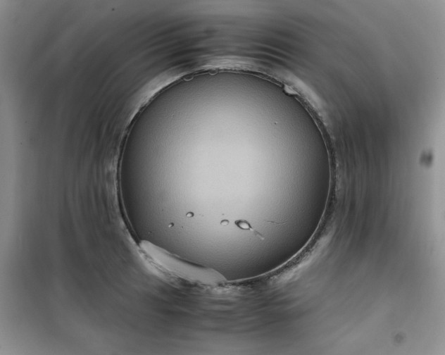 X0000100951041200807081214