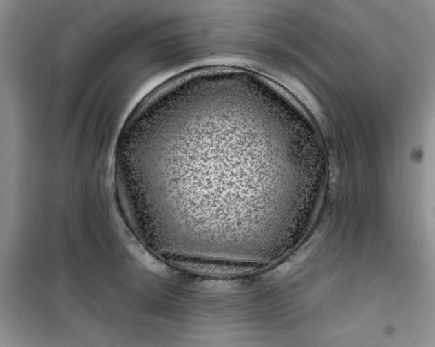 X0000100951044200807081214