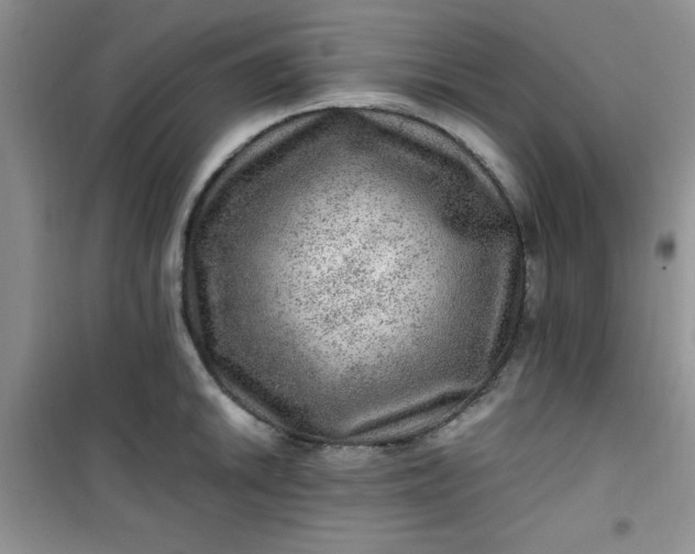 X0000100951046200807081214