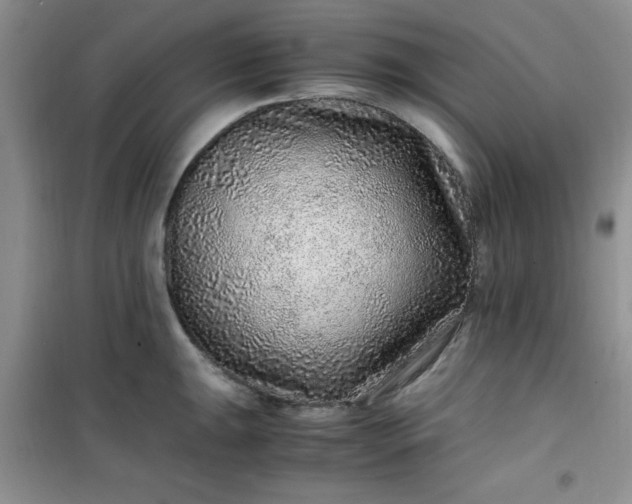 X0000100951047200807081214